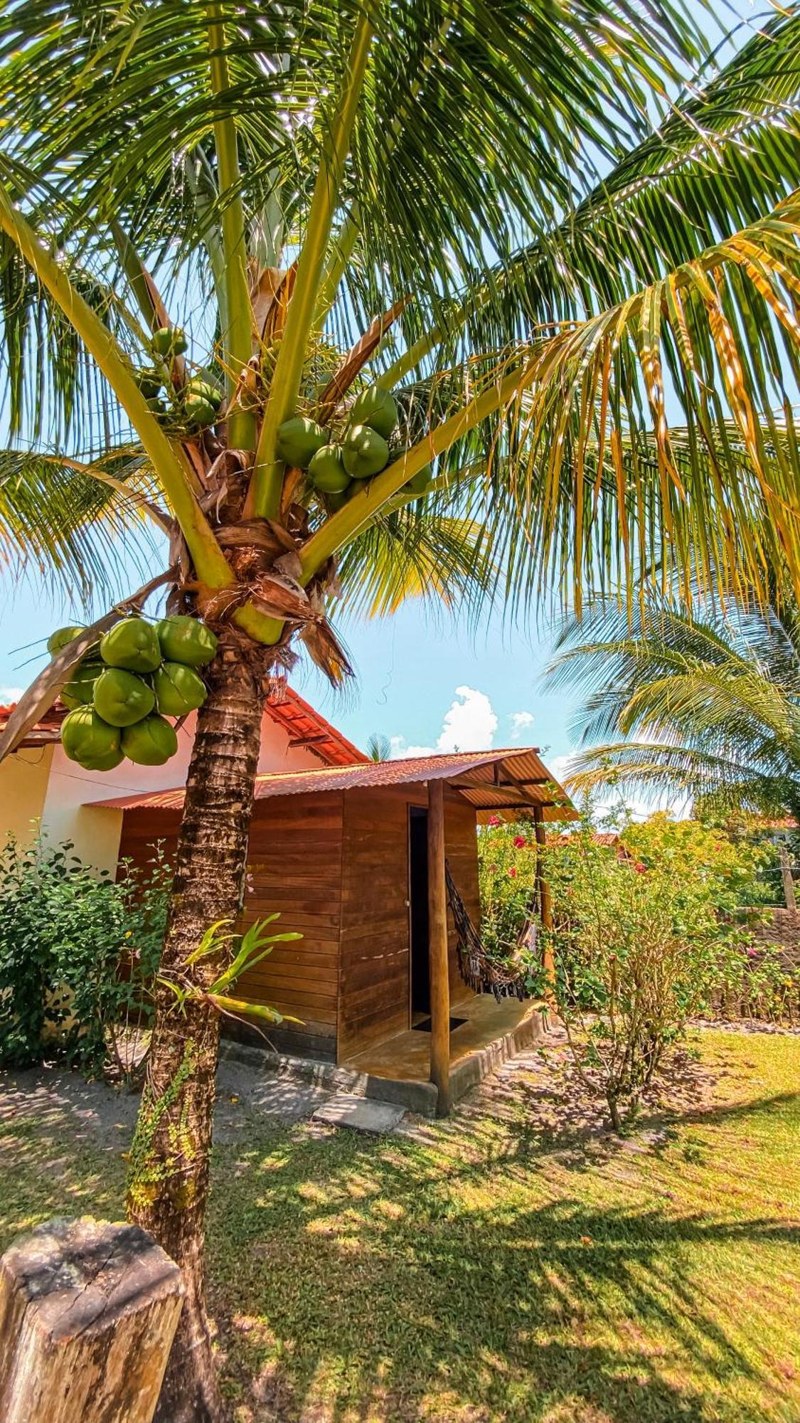 Family Guest House Velha Boipeba Kültér fotó